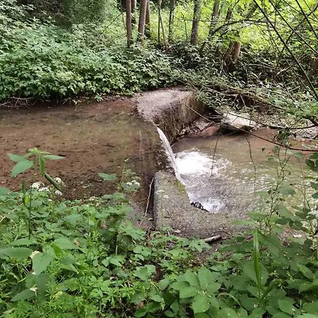 Vitez Koja *