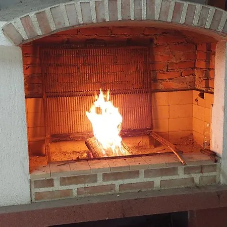 Vitez Koja Vrnjačka Banja