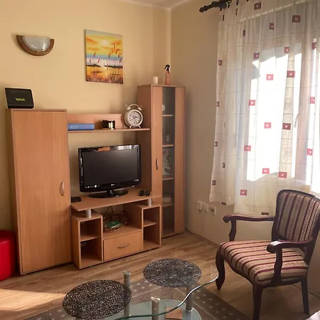 Vitez Koja Vrnjačka Banja