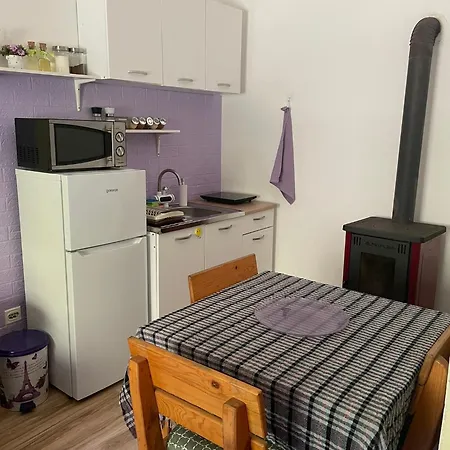 Vitez Koja Vrnjačka Banja