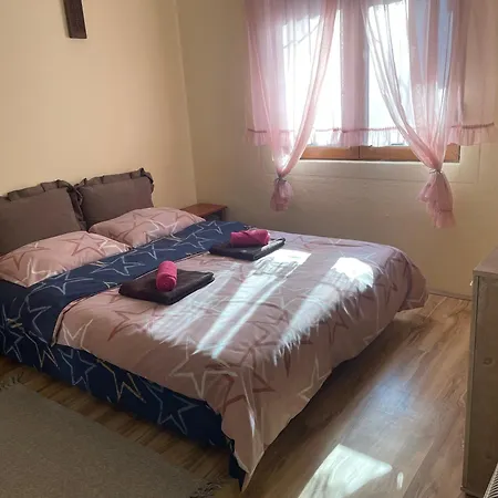 Vitez Koja 別荘 Vrnjačka Banja