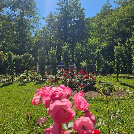 Vitez Koja 別荘 Vrnjačka Banja