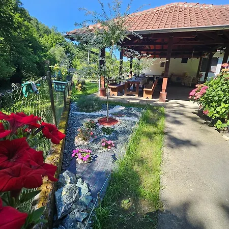 Vitez Koja * Vrnjacka Banja