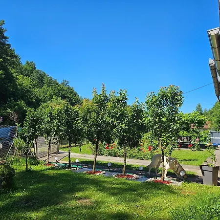 Vitez Koja Vrnjačka Banja