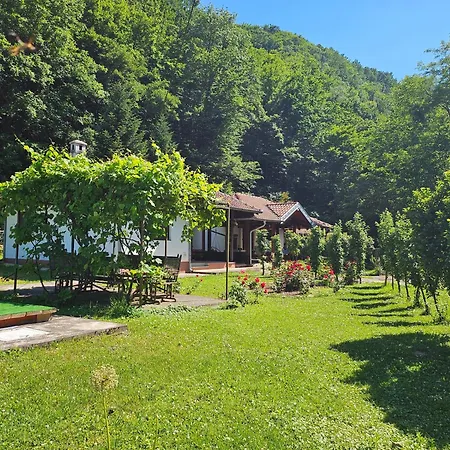 Vitez Koja *