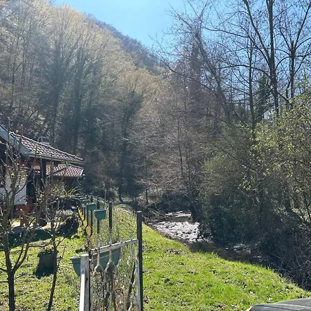Vitez Koja Vrnjacka Banja