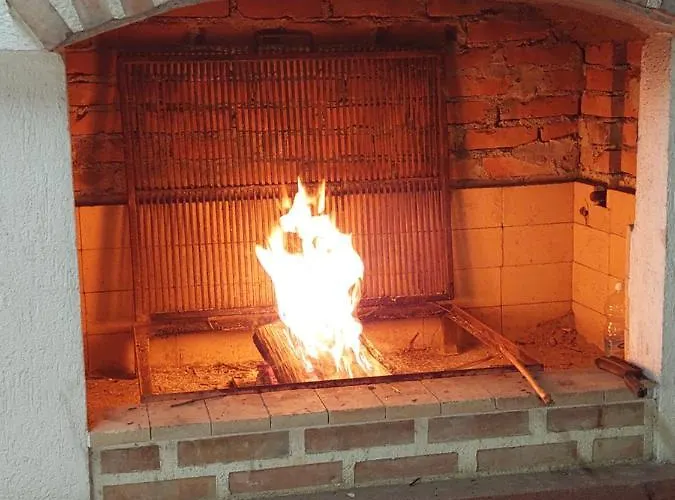 Vitez Koja Vrnjačka Banja