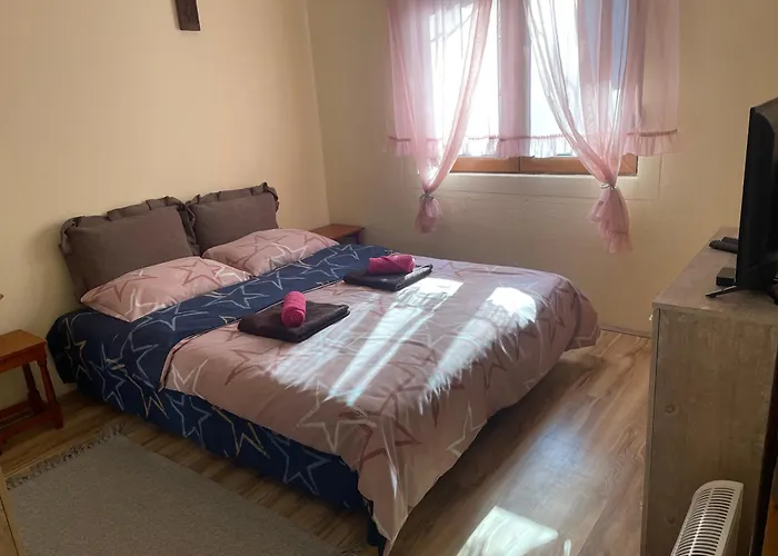 Vitez Koja 別荘 Vrnjačka Banja