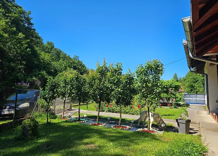 Vitez Koja Vrnjačka Banja